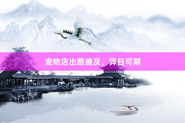 宠物店出路遍及，异日可期